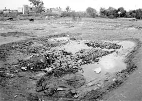 Garbage lies scattered on the Ramlila Ground at Sector 19
