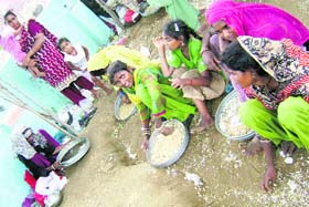 Women and children collect jaggery and wheat offered at Gugga shrine at Chhappar mela on Sunday.
