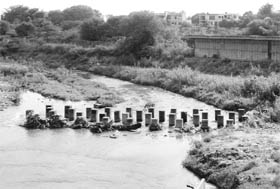 Foul smell emanates from N-choe at Phase IX in Mohali, that pollutes the environment in its vicinity. 