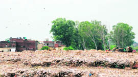 A mound of waste with residential area in the backdrop at the garbage dumping ground in Dadu Majra, Chandigarh. 