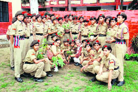 NCC cadets plant saplings in an education institute in Ludhiana on Monday.
