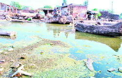 A view of Lakker Mandi area in Patiala
