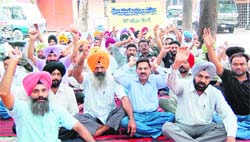 Members of the Medical Laboratory Technicians Association stage a protest at the Civil Surgeons office in Amritsar on Wednesday. 