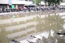 A pool of stagnant water at the Judicial Courts Complex in Jalandhar, which is a fertile breeding ground for mosquitoes that can spread malaria. 