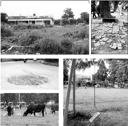Wild growth over a vacant plot at Phase X in Mohali. Tribune photos: Vicky Gharu; broken pavement paints an ugly picture of Phase X; broken swings in a park remain neglected despite repeated requests to officials concerned; a patch of damaged road; and stray cattle graze in the market area of Phase X.