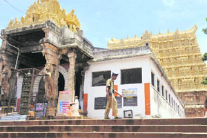 Sree Padmanabhaswamy temple, Thiruvananthapuram