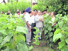 Agriculture Minister Ghulam Hassan Mir during his visit to Mirgund. 
