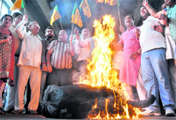 BJP activists burn an effigy of the UPA government to mark protest against hike in petrol prices in Ludhiana on Friday