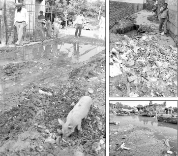 Residents cross a mudy road while a pig feeds on garbage at Sanjay Colony near Lakkar Mandi slum area; and (above-right) a man covers his face while crossing a garbage strewn street near Jorian Bhathian in Patiala. Tribune photos: Rajesh Sachar; and (below-right) Stagnant water has become a breeding ground for mosquitoes at the Lakkar Mandi area
