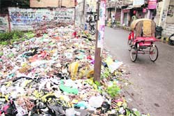 A garbage filled plot at JP Nagar road in Jalandhar.