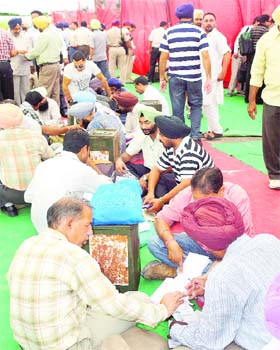 Officials check stationery before dispatching it to poll booths in Rajpura on Saturday