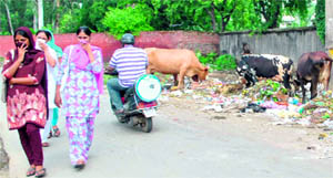 Girls cover their nose while passing by a garbage dump near the State College of Education in Patiala on Sunday. 