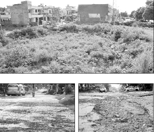 (Above) Wild growth of grass on a vacant plot at Sector 25, Panchkula. (Below) Roads in a deplorable condition in Sector 25, Panchkula