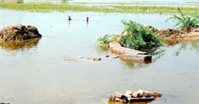 A breach in the Khui Khera drain at Shajrana village that has inundated hundreds of acres of agricultural land.