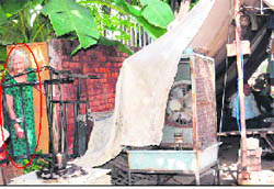 Nintythree-year-old Dayawanti Sharma (encircled) yells out at security personnel of DGP (Punjab) Shashikant staying in tents pitched in the service lane at the rear of her house in Sector 18, Chandigarh