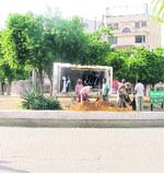 A beautification drive under way at Fountain Chowk in Ludhiana on Wednesday. 