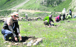 Kailash Mansarovar pilgrims plant saplings at Gunji. 