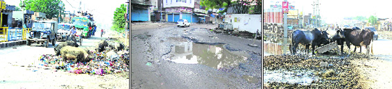 Photographs showing pathetic sanitary conditions in Sirsa.