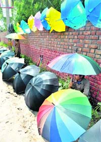 A boy sells umbrellas on a roadside in Patiala