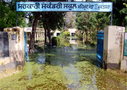 A water-logged entrance of the government school at Mehmood Khera in Muktsar district