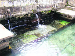 A traditional water source known as dhara in the Kumaon region. 