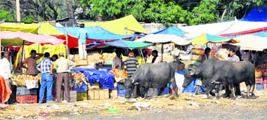 In the absence of any check, fruit sellers have set up unauthorised sheds at Jammu Railway Station.