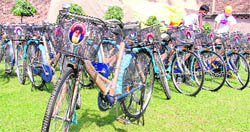 Bicycles bearing photographs of Chief Minister Parkash Singh Badal meant for distribution among students tomorrow.