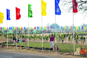 Development work in progress at a mega project in Mullanpur