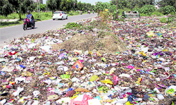 Garbage piled up along the roadside in Urban Estate Phase-II in Jalandhar