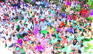 Health employees protest near the office of the Chief Medical Officer in Ludhiana on Saturday.