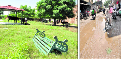Special green belt development for stray cattle of the area by the municipal corporation in Sector 52; and (right) bad condition of a road at Kajheri in Chandigarh