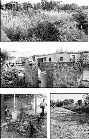 Wild growth covers a tract at Sector 66, Mohali. tribune photos: vicky gharu; (middle) A park, which is being used as a parking lot for trucks; (below left) Garbage strewn in a; sector market; (below right) A potholed road, which is hindrance for commuters.