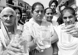 Residents show contaminated water being supplied to Phase VI, Mohali, on Sunday