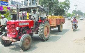 A tractor-trailer plies illegally on Ladowali Road in Jalandhar