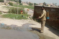 A member of the anti-larva squad of the Health Department sprays insecticide in the affected areas in Ferozepur.