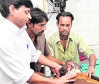 Moludas in Doon Hospital on Wednesday.