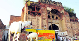 The dilapidated Prithviraj Chauhan Fort in Taraori in Karnal.