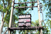 A 63 KVA transformer at Dakha from where thieves tried to steal electric wires