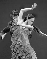 Spainish dancers performing the popular flamenco