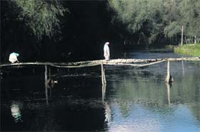 Women use a footbridge to cross the Tailbal canal on the outskirts of Srinagar.