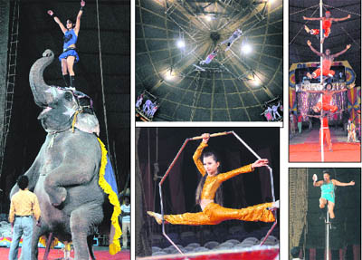 Circus has still not lost its charm, at least in the industrial city as artistes of a circus regale spectators by performing challenging stunts on the Chandigarh road in Ludhiana.