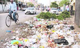 Garbage piles up outside Posts and Telegraph Colony in Jalandhar on Tuesday