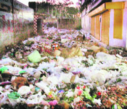 With the safai karamcharis of the Ludhiana Municipal Corporation on strike, heaps of garbage can be seen near the books market in Ludhiana on Tuesday. 