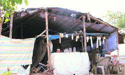 A dhaba that has come up illegally along the Pakhowal road near Sidhwan Canal in Ludhiana. 