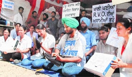 Veterinarians polish shoes to register their protest at GADVASU in Ludhiana on Tuesday. 