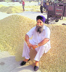 A farmer sits on a heap of unsold paddy at the grain market in Sirhind.
