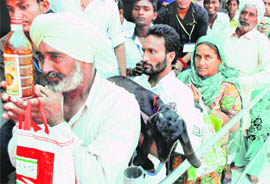Devotess with alcohol and a sacrificial goat at Kali Mata Temple in Patiala. 