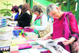 Book lovers at a stall at the festival.