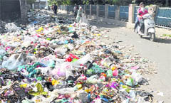 Garbage scattered on a road at a colony in Ludhiana