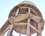 NRHM employees atop a water tank at Gill village in Ludhiana.